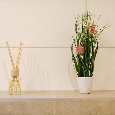 Appartement Scharler