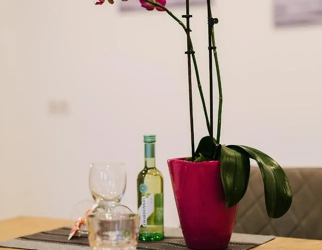 アパート Scharler *